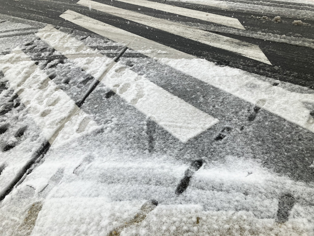 車道の積雪の様子