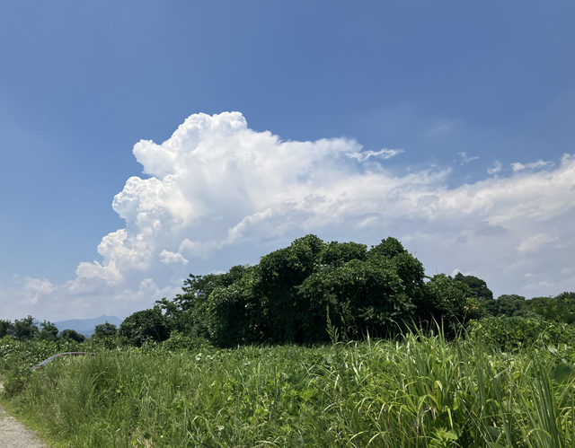 入道雲