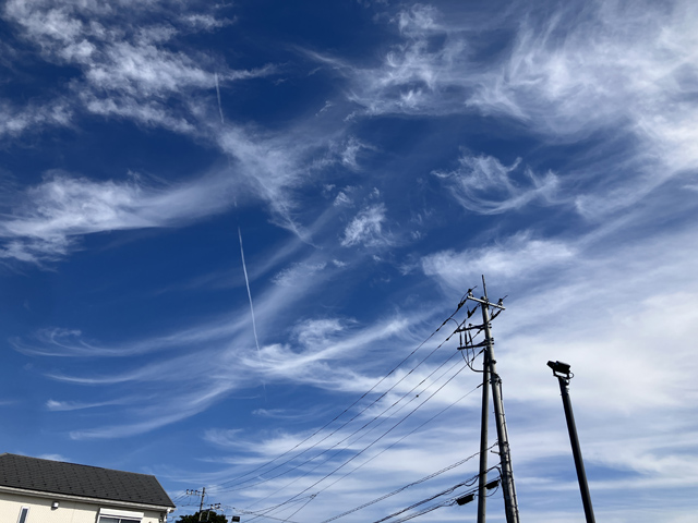 秋の空