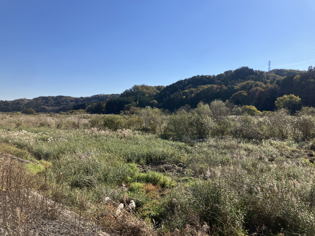 秋の河原