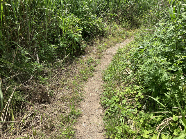 河原道