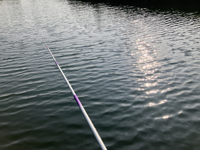 浮き釣り