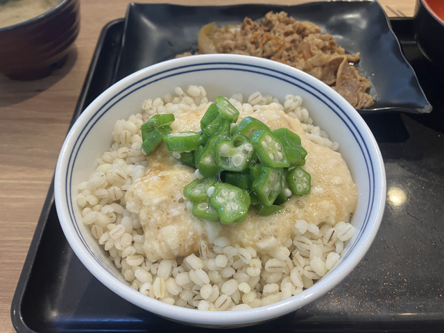 牛皿麦とろ御膳