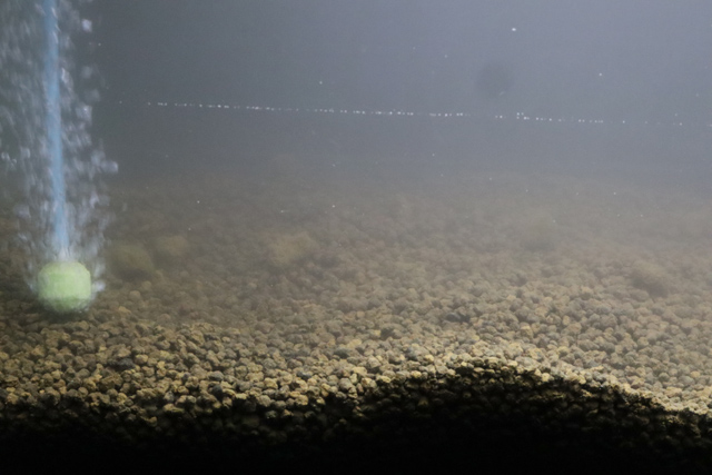 水槽セットアップ