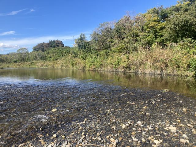 川の様子