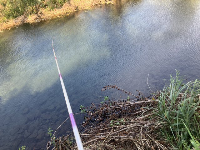 風が強いワンド