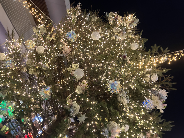 クリスマスツリー