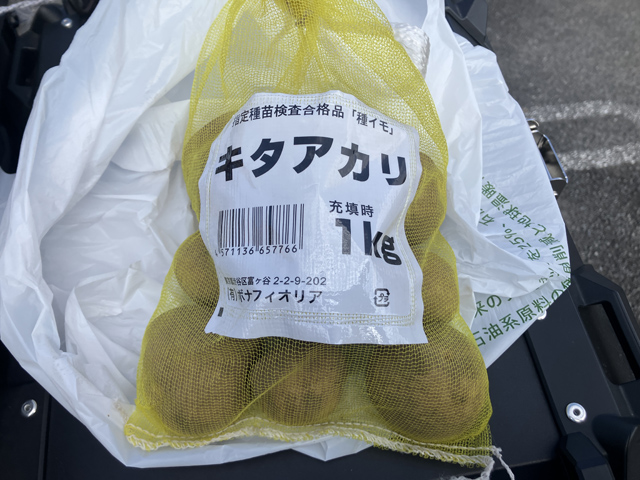 ジャガイモの種芋